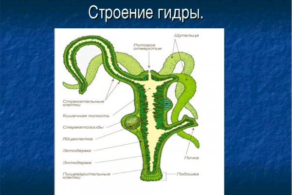 Слив аккаунтов hydra blacksprut omg