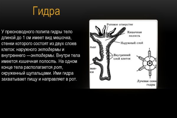 Поддержка блэкспрут